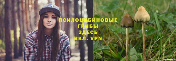 mdma Козельск
